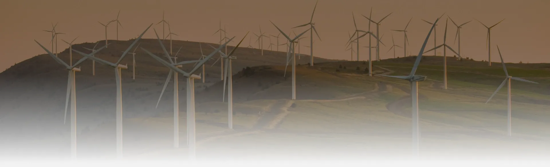 Energy & Natural Resources